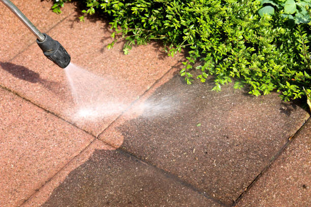 Best Pressure Washing Near Me  in University Of Virginia, VA