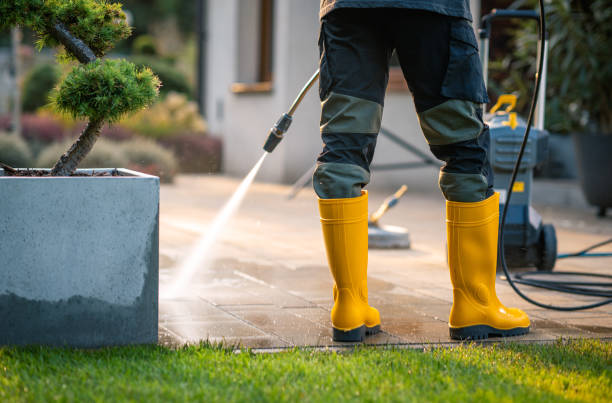 Pressure Washing Services for Businesses in University Of Virginia, VA